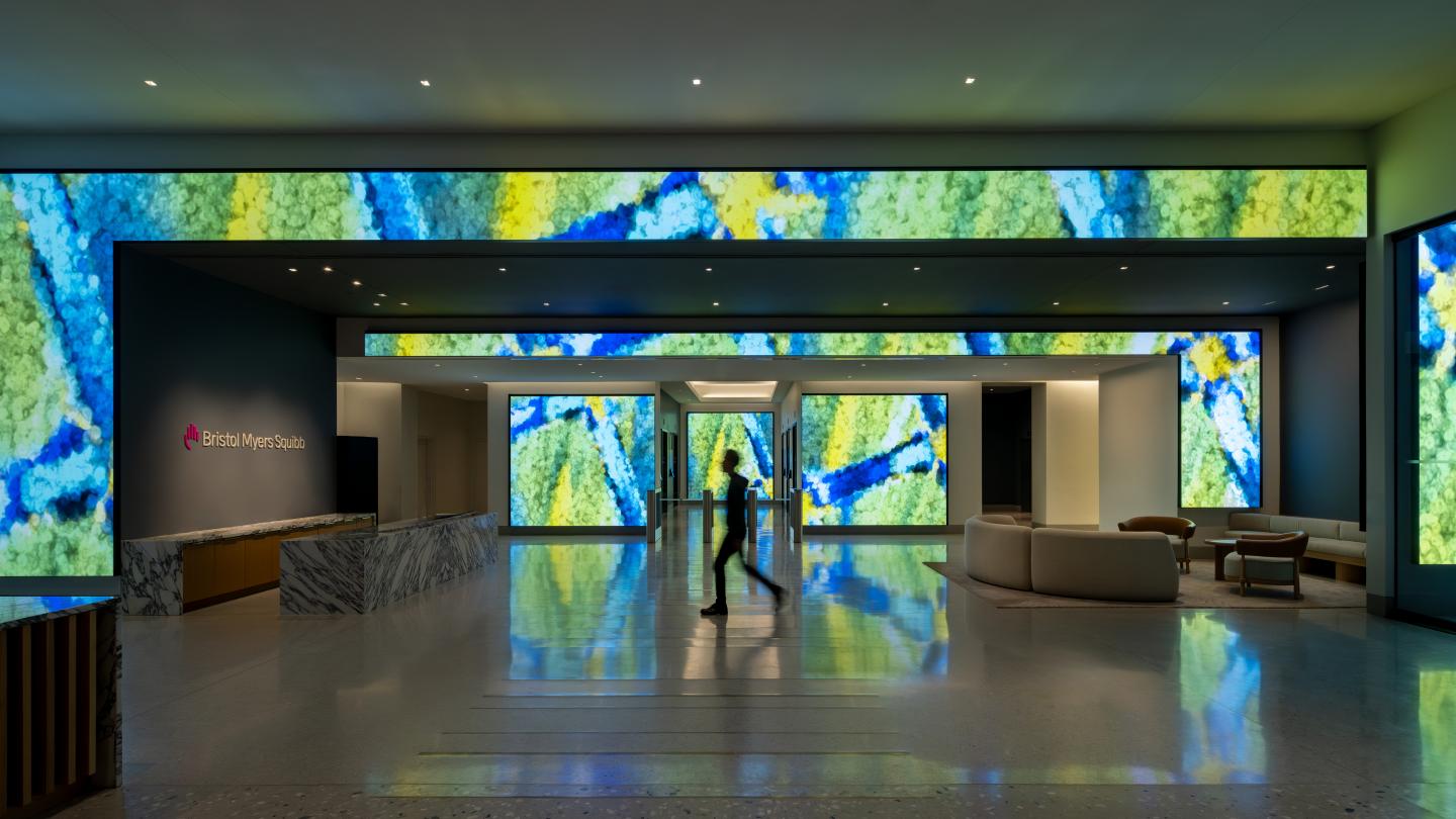 bristol myers squibb lobby experience design lab at rockwell group cambridge proscenium graphics