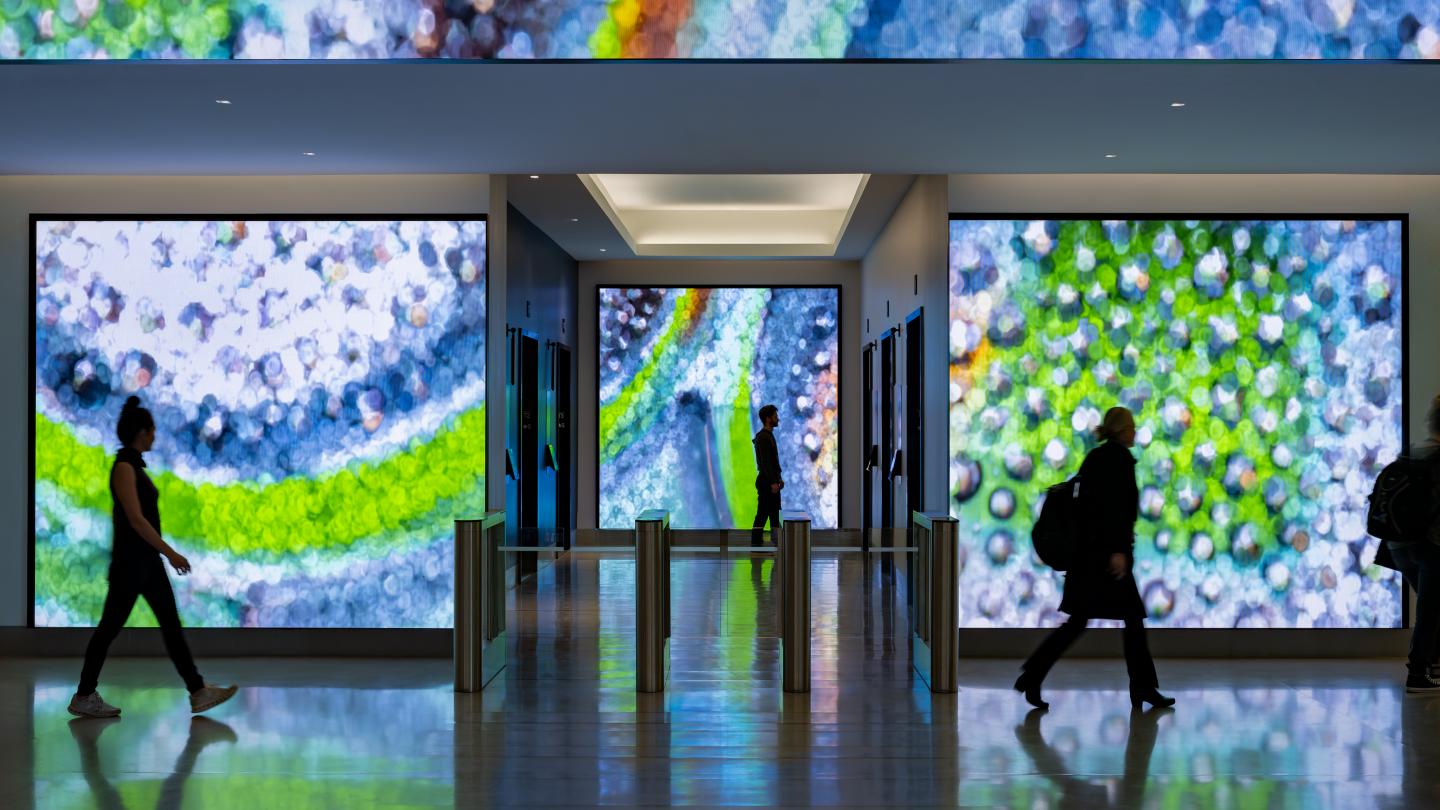 bristol myers squibb lobby experience design lab at rockwell group cambridge proscenium graphics